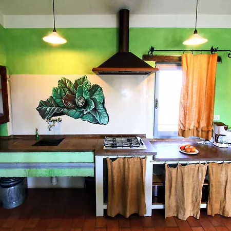 Near Trasimeno Vineyards