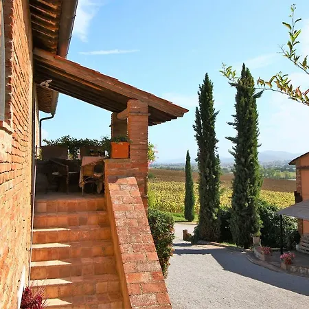 Near Trasimeno Vineyards *