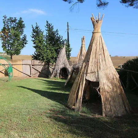 Near Trasimeno Vineyards * Villastrada (Umbria)