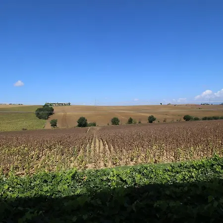 Near Trasimeno Vineyards Casa de Férias