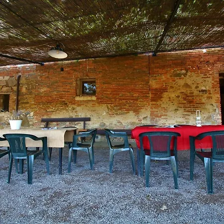 Near Trasimeno Vineyards