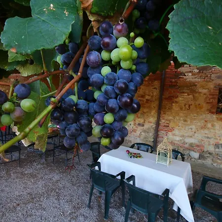 Near Trasimeno Vineyards Casa vacanze *